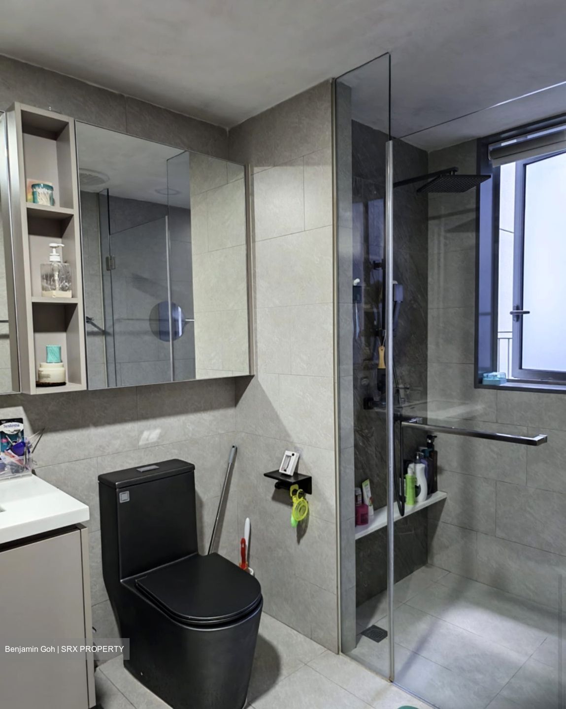 The Visionaire (D27), Condominium #541490861